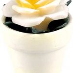 Aromatische Kerze