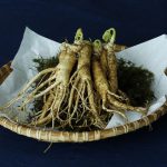 Ginseng Coreano und seine Vorzüge für Körper und Geist