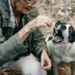 Hundefutter