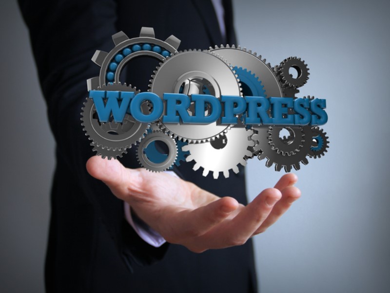 WordPress-Hosting verschiedene Kategorien